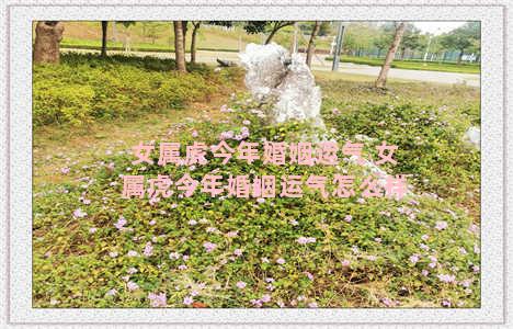 女属虎今年婚姻运气 女属虎今年婚姻运气怎么样